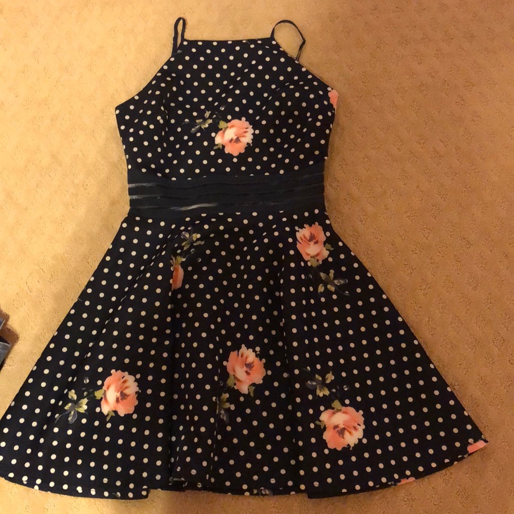 Blue poka dot with pink roses dress